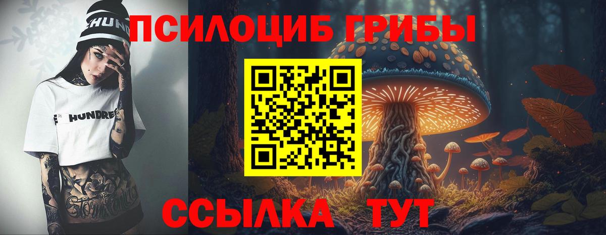 Псилоцибиновые грибы GOLDEN TEACHER  Вход с VPN  Керчь 